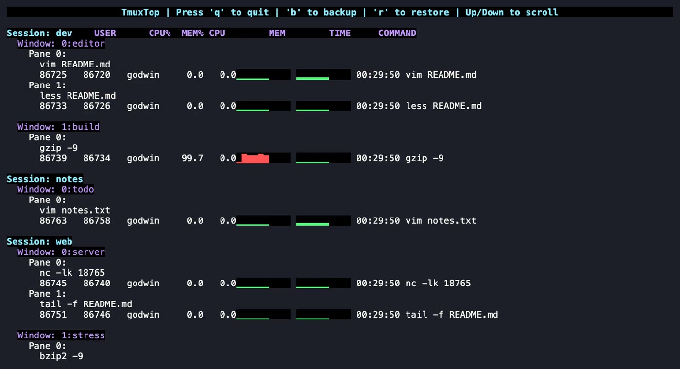 tmuxtop live process view